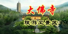 日日骚,日本免费中国浙江-新昌大佛寺旅游风景区